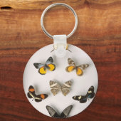 Porte-clés Colection de papillons, porte - clé (Recto)