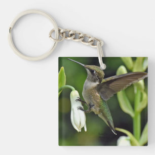 Porte-clés Colibri