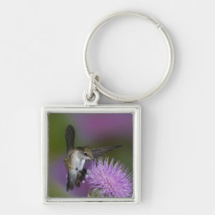 Porte-clés Colibri à gorge rubis en vol au chardon