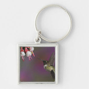 Porte-clés Colibri à gorge rubis mâle