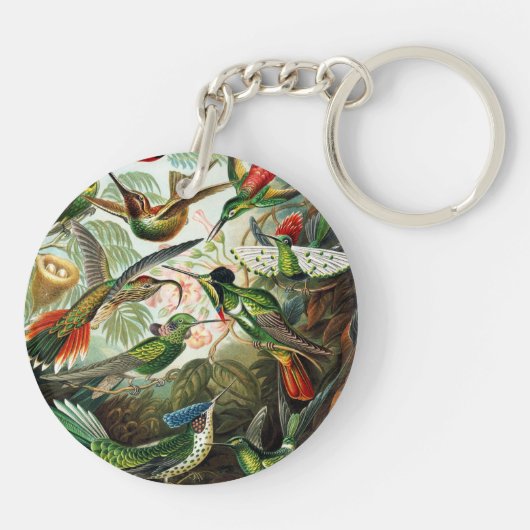 Porte-clés Colibri par Ernst Haeckel (Dos)