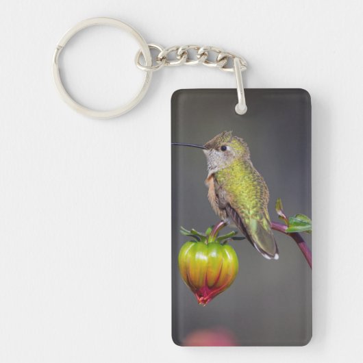 Porte-clés Colibri posé sur un bouton de fleur (Devant)