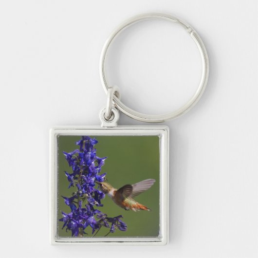 Porte-clés Colibri roux (Devant)