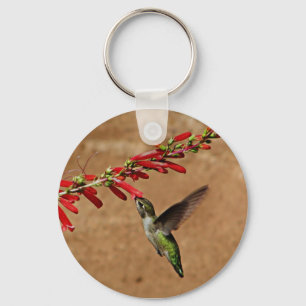 Porte-clés Colibri se nourrissant dans le jardin