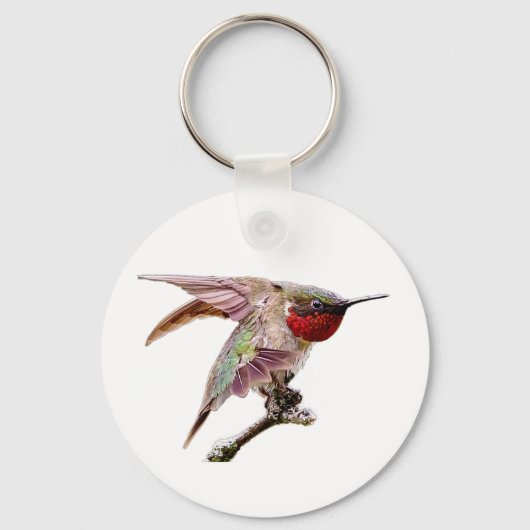 Porte-clés Colibri s'étire  (Verso)