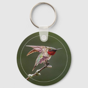 Porte-clés Colibri s'étire avec bordure