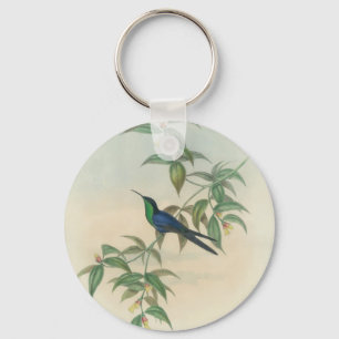 Porte-clés Colibri vert et bleu de Gould