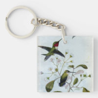 colibris Rubis-throated