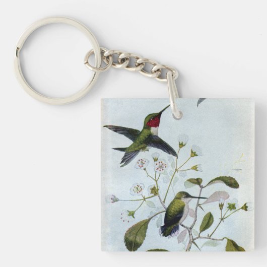 Porte-clés colibris Rubis-throated (Devant)