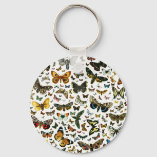 Porte-clés Collage des papillons de nuit et des papillons de