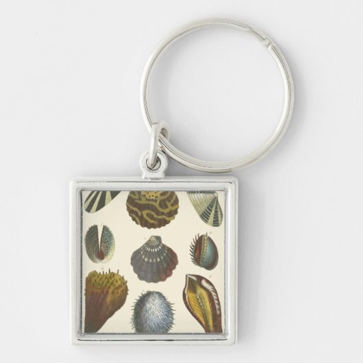Porte-clés Collection Conchology (Devant)