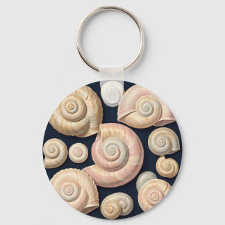 Porte-clés Collection de coquilles marines spirales beige ros