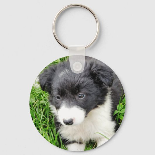 PORTE-CLÉS COLLIE FRONTALIÈRE (Recto)