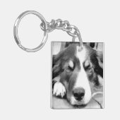 PORTE-CLÉS COLLIE FRONTALIÈRE (Devant gauche)