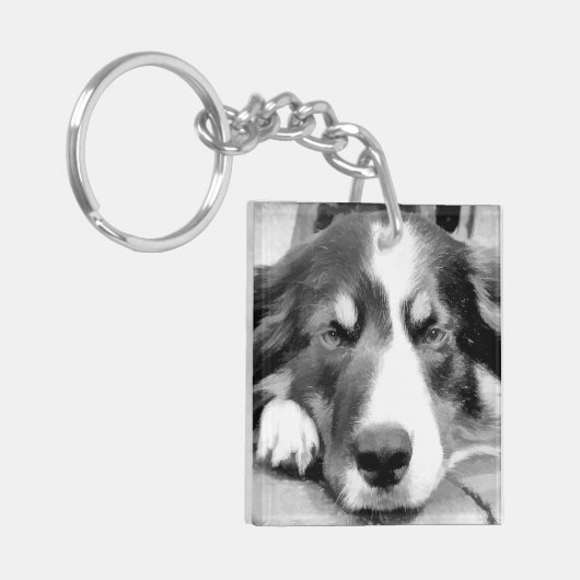 PORTE-CLÉS COLLIE FRONTALIÈRE (Devant gauche)