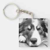 PORTE-CLÉS COLLIE FRONTALIÈRE (Devant)