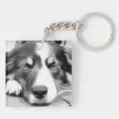 PORTE-CLÉS COLLIE FRONTALIÈRE (Dos)