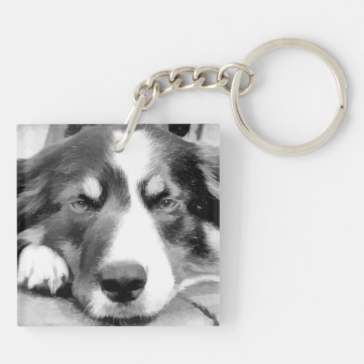 PORTE-CLÉS COLLIE FRONTALIÈRE (Dos)