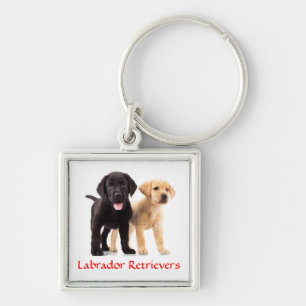 Porte-clés Collier de clés Premium Chiots Retriever du Labrad