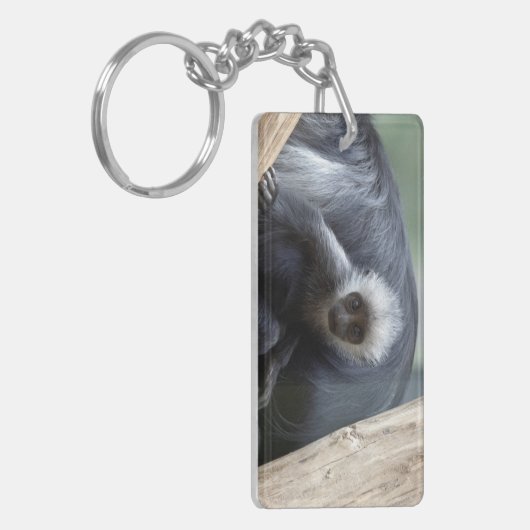 Porte-clés Colobus polykomos (Devant gauche)