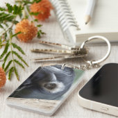 Porte-clés Colobus polykomos (Devant droit)