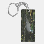 Porte-clés Columba palumbus (Devant gauche)