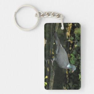 Porte-clés Columba palumbus