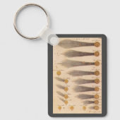 Porte-clés Comètes de Stanislaw Lubieniecki, Astronomie Vinta (Recto)