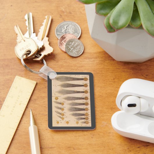 Porte-clés Comètes de Stanislaw Lubieniecki, Astronomie Vinta (Bureau)