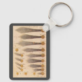 Porte-clés Comètes de Stanislaw Lubieniecki, Astronomie Vinta (Verso)