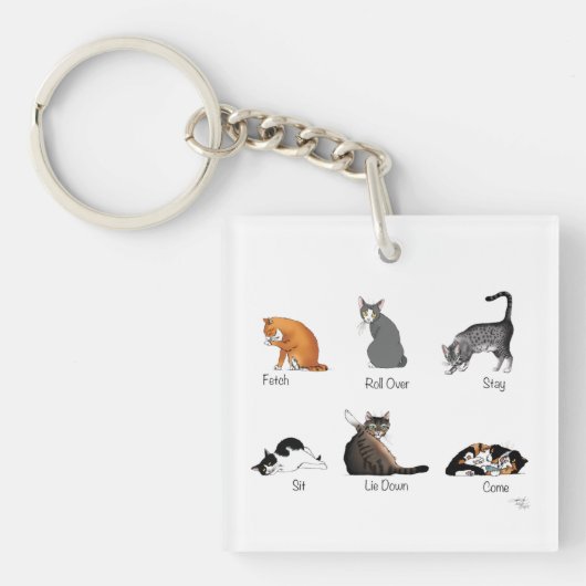 Porte-clés Commandes Cat (Devant)