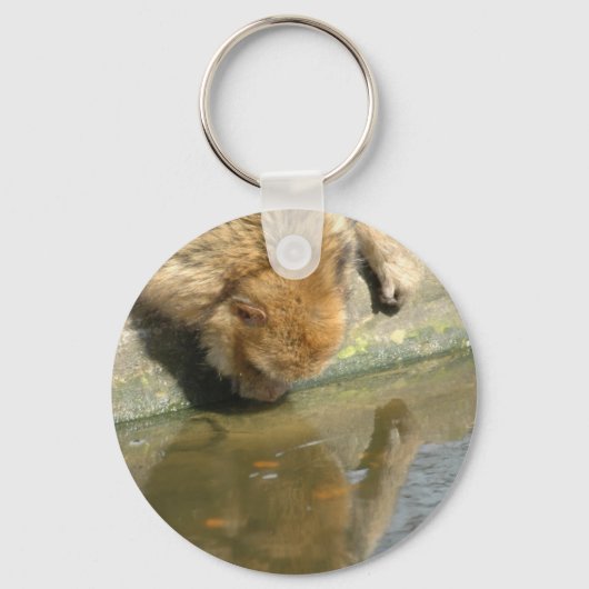 Porte-clés Commerce de singes (Recto)