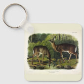 Porte-clés Common Deer (Recto)