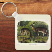 Porte-clés Common Deer (Recto)