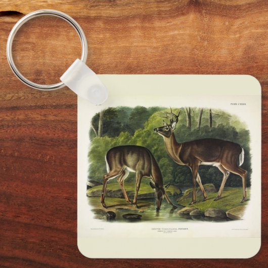 Porte-clés Common Deer (Recto)