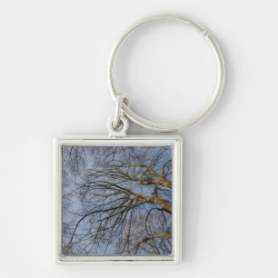 Porte-clés Conception/motif de tronc d'arbre. Pioineer Park,