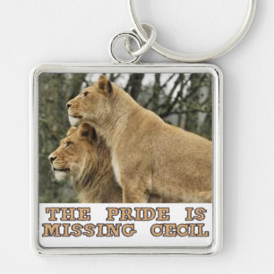 Porte-clés conceptions fraîches de lions