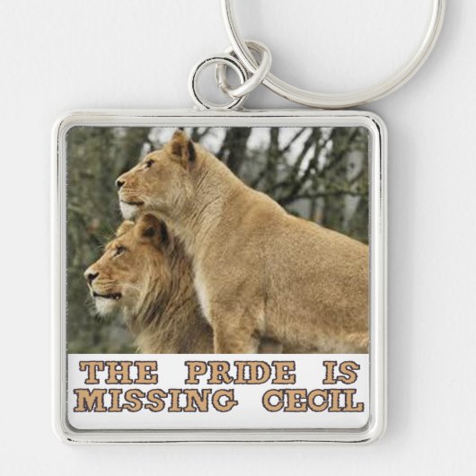 Porte-clés conceptions fraîches de lions (Devant)