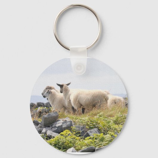 Porte-clés Conceptions originales - Moutons dans un champ (Recto)