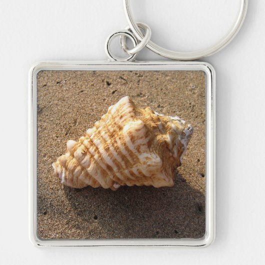 Porte-clés Conch Sea Shell Porte - clé de plage de sable (Devant)