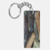 Porte-clés Concombre de mer ... Nourriture du marché de Yaowa (Devant gauche)