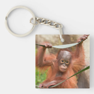 Porte-clés Connexion bébé orang-outan