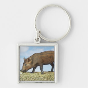 Porte-clés Consommation de porcelet