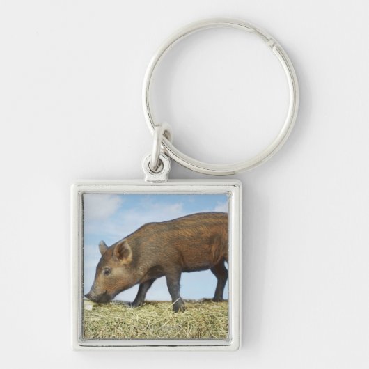 Porte-clés Consommation de porcelet (Devant)