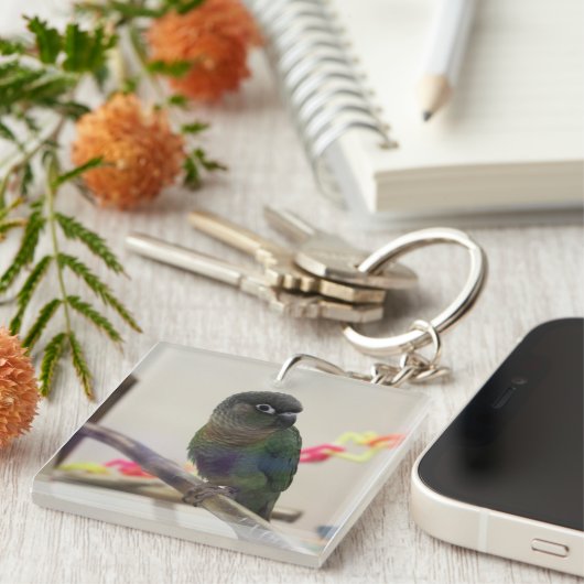 Porte-clés Conure (Devant Droit)