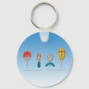 Porte-clés Copepods