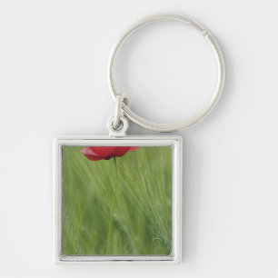 Porte-clés Coquelicot rouge parmi les cultures de blé, Toscan