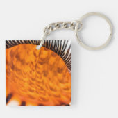 Porte-clés Coquillage hypnotique (Dos)