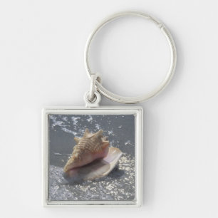 Porte-clés Coquillage sur l'île de la plage   Sanibel, la