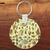 Porte-clés Coquillages de coquillages Mollusk Clam Élégant Ar (Recto)